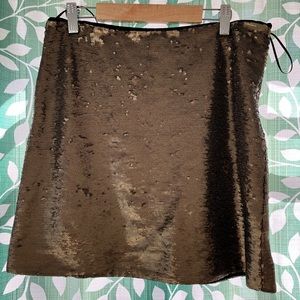 Sequined Skirt
